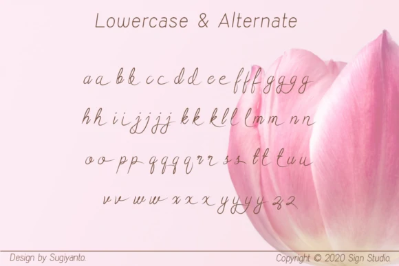 Adelyne Classic Pen Calligraphy Font Adelyne Font